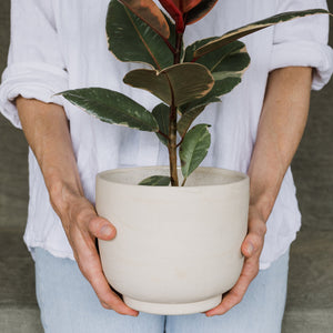 Large Planter, Oatmeal