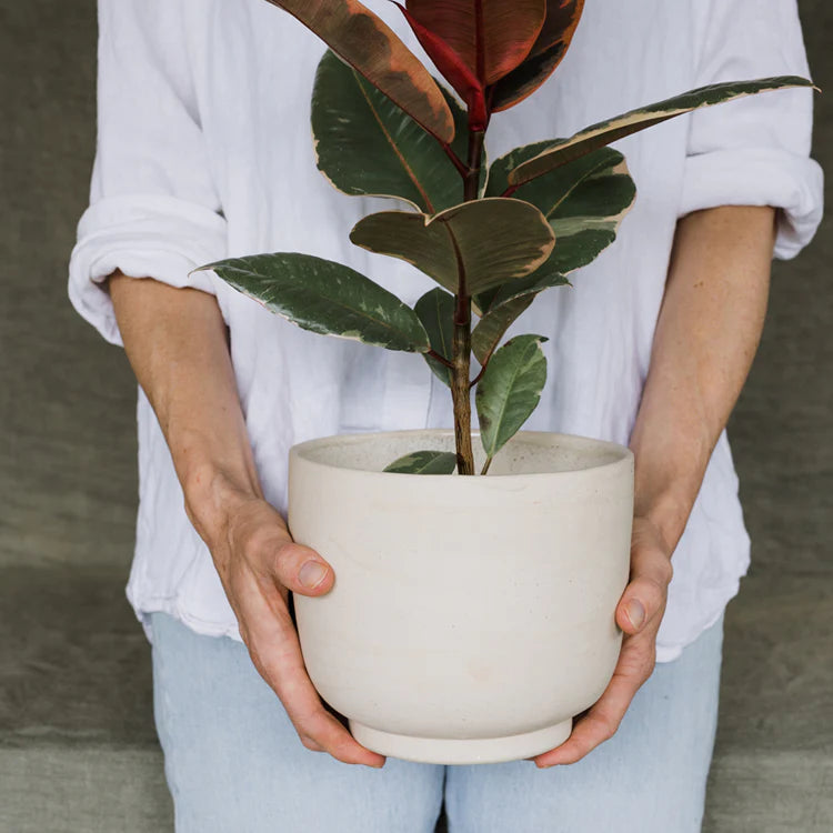 Planter, Swirl Custom