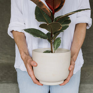 Planter, Swirl Custom